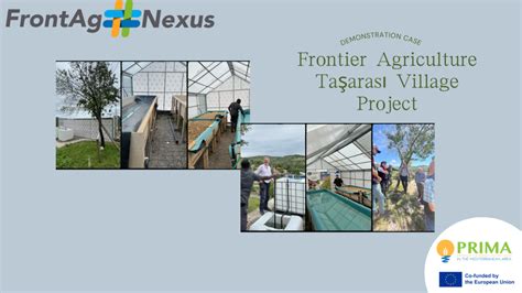 Tasarasi Halı ve Koltuk Yıkama