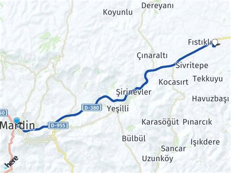 Tasgedik Halı ve Koltuk Yıkama