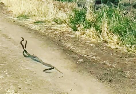 Tashelvasi Halı ve Koltuk Yıkama