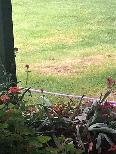 Tasma Atkins Leaked XXX 💋 132 Vids