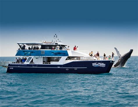 Tasman Venture - Day Tours (Hervey Bay) - Tripadvisor