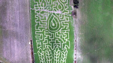 Tasmanian crop maze highlights farmers