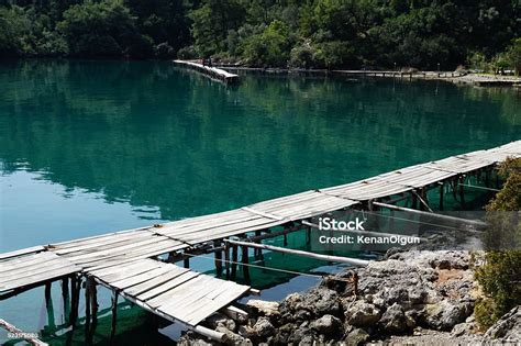 Tasyaka Halı ve Koltuk Yıkama