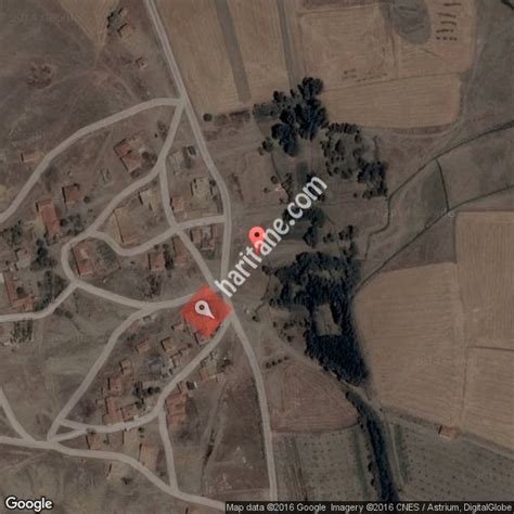 Tatarhuyuk Halı ve Koltuk Yıkama