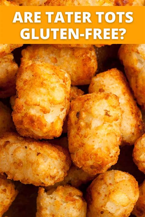 Tater tots gluten free. Directions. In a medium pot, boil peeled potatoes in water until ¾ cooked (approximately 12-15 minutes in boiling water). Drain potatoes, rinse and set aside to cool slightly. … 