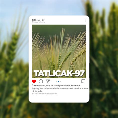 Tatlicak Halı ve Koltuk Yıkama