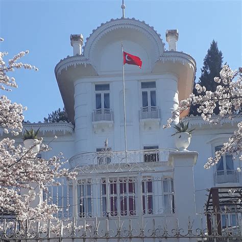 Tatlielma Halı ve Koltuk Yıkama