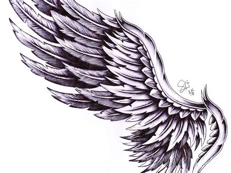 Tattoo Wings Drawing