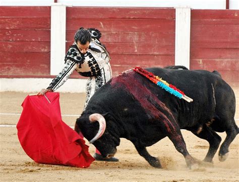 Después de dejar probado que es “una actividad ... responsable de la asociación mexicana de tauromaquia, declaró en enero que la prohibición de las corridas de toros en la Ciudad .... 