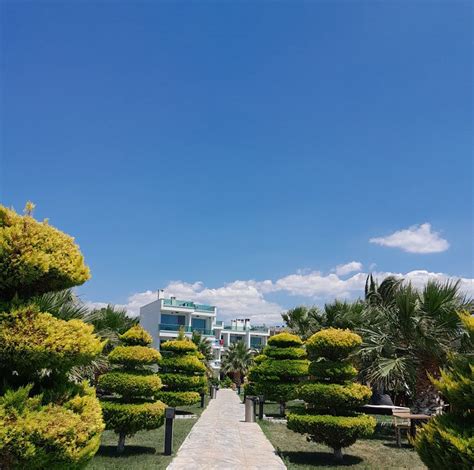 codini.rgarabwor.edu.pl. 