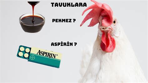Tavuk aspirin