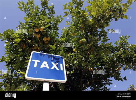 Taxi rates UBER in Palma, Balearic Islands - Taxi How Much