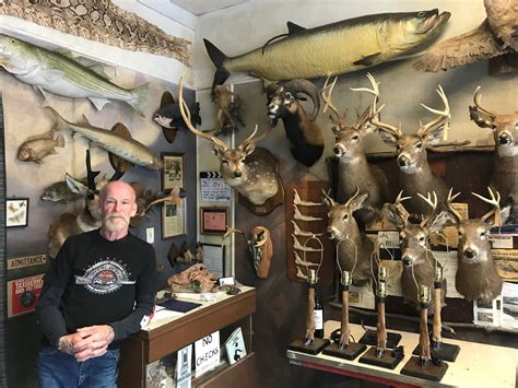 Taxidermy store. Things To Know About Taxidermy store. 