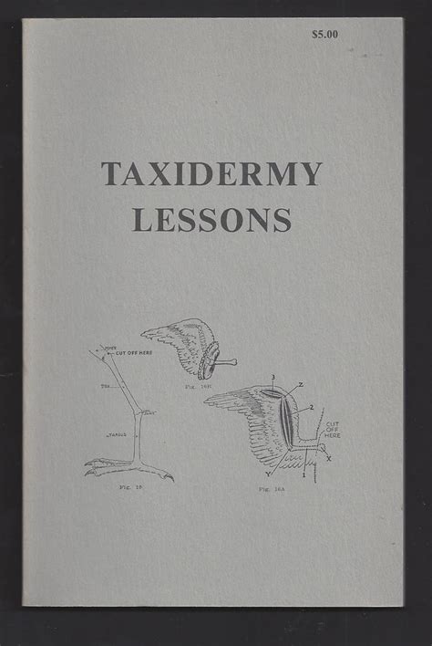 Read Taxidermy Lessons Poems By James Magorian