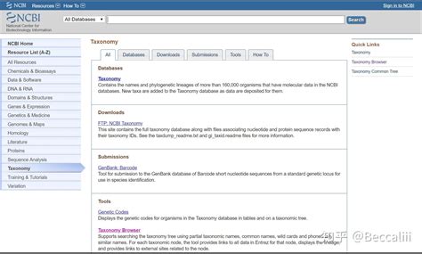 Taxonomy browser (Brachyphoris) - National Center for …