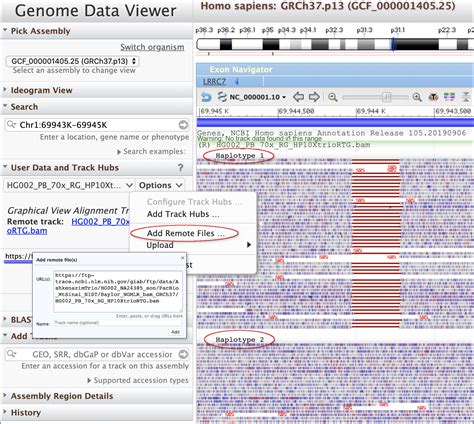 Taxonomy browser (Eucalyptus x tetragona) - ncbi.nlm.nih.gov