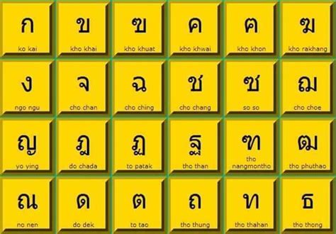 Tayland dil okulu