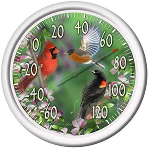 Taylor 6774 Spring Birds Outdoor Thermometer - Walmart.com