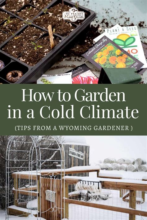 Taylor s weekend gardening guide to cold climate gardening how. - Lg true balance washer user manual.
