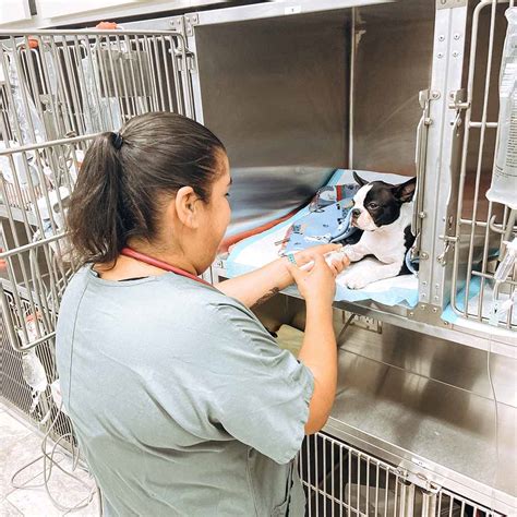 In 1999 Kim and her husband moved to the Central Valley and settled their roots in Turlock. She began working for Taylor Veterinary in 1999 and has been with us ever since. She has grown with our practice and has been a big part of making us the 24-hour emergency hospital that we are now.. 