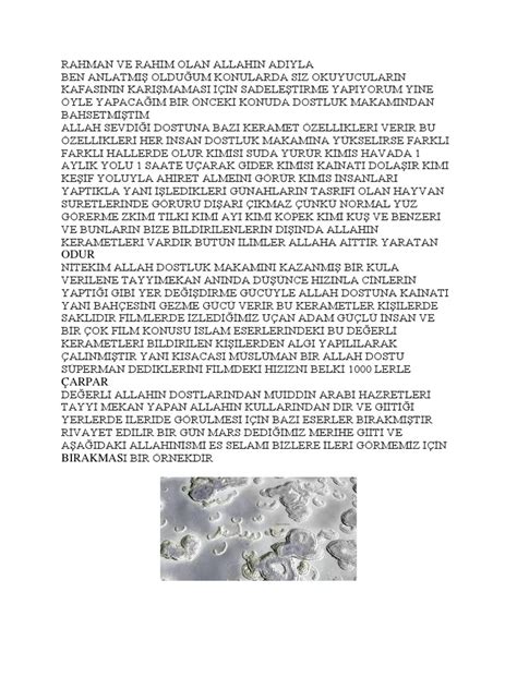 veodersti.rgarabwor.edu.pl. 