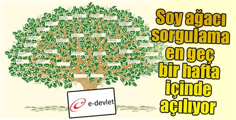 Tc Kimlik No Ile Soy Ağacı Sorgulama – Teknoloji Bul.