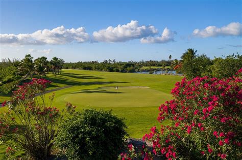 Tci golf. Things To Know About Tci golf. 