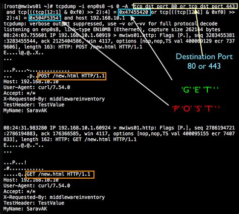 In order to start watching all the container network traffic you can run the following command on the container host: sudo tcpdump -i docker0 tcp port 80 -w test.pcap. What this command is doing is performing a capture on the docker0 interface and filtering with the BPF expression tcp port 80 which filters just the HTTP protocol traffic from ...