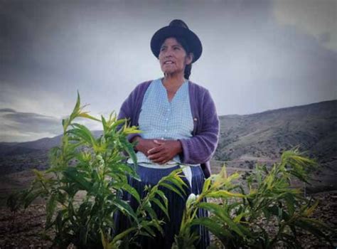 Técnicas para el mejoramiento del cultivo de durazno en bolivia. - En torno a la poesía de luis cernuda.