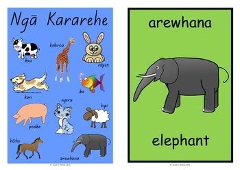 Te Reo Maori Animals By Suzanne Welch Teaching Resources Tpt