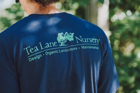 Tea Lane Nursery LinkedIn