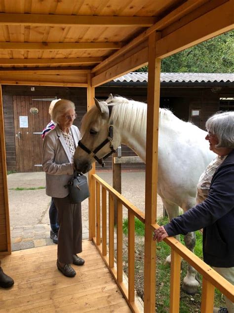 Tea with a Pony - DIGSWELL PLACE RDA