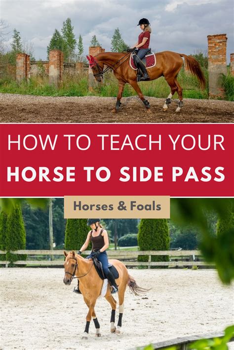 Teaching A Horse To Side Pass - Gegu Pet