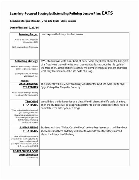 Teaching Strategies Lesson Plan Template Beautiful Lesson Plan 1