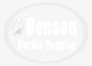 Teacup Yorkie Puppies For Adoption - Family Of 5 Stick People ...