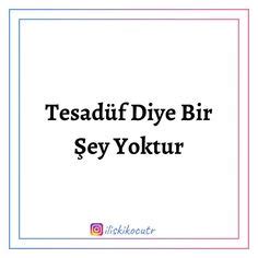 Teaduf Halı ve Koltuk Yıkama