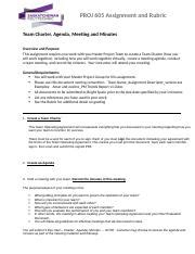 Team Charter and Meetings Assignment.docx - PROJ 605...