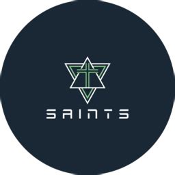 Team SNT (Saints) Overwatch