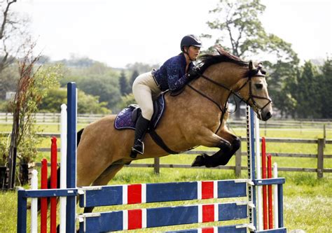 Team Stevenson - SHOWJUMPER - BSJA LinkedIn