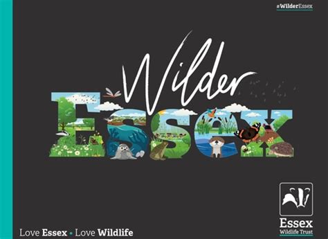 Team Wilder Essex Wildlife Trust