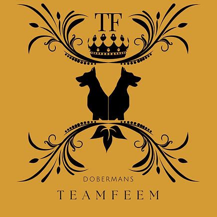 Team feem breeders. Get to know Team Feem Breeders in Texas. See puppy photos, reviews, health information. Easy to apply. Find the best Doberman Pinscher for you. 