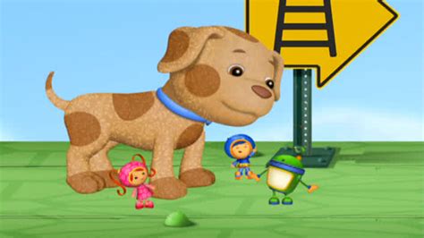 Team Umizoomi: Buster the Lost Dog. October 12, 2011; When a game o