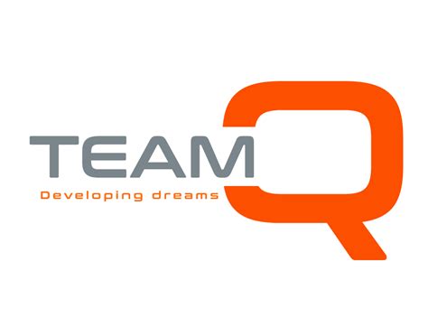 TeamQ