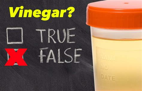 Teaspoon Of Vinegar A Day To Pass Drug Test