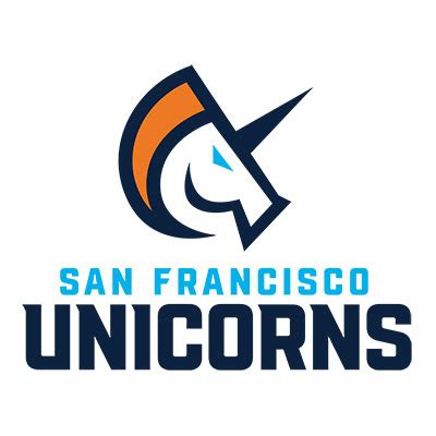Tech exec tells whirlwind tale of starting SF Unicorns, Bay Area’s cricket team in new U.S. league