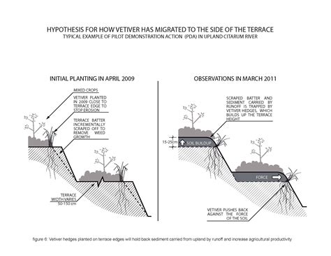 Technical designs and guidelines for terrace cultivation. - Piaggio x8 250 ie servizio riparazione officina manuale.