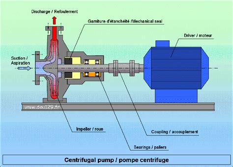 Technologie Fonctionnement Pompe Centrifuge