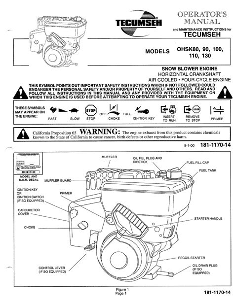 Tecumseh mv 100 s manuale completo di riparazione per piccoli motori. - A guide to research for educators and trainers of adults.