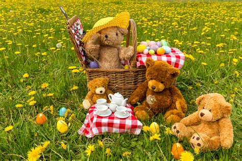 Teddy bears picnic. Things To Know About Teddy bears picnic. 