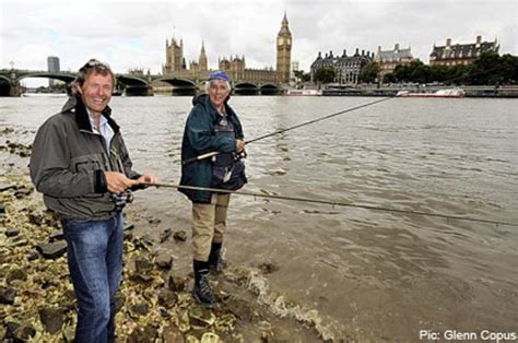 Teeming with fish, Thames is cleanest for two centuries